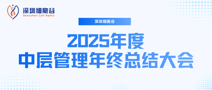 深圳evo真人视讯召开2025年度中层管理年终总结大会：多点布局成果丰硕，创新驱动快速开展