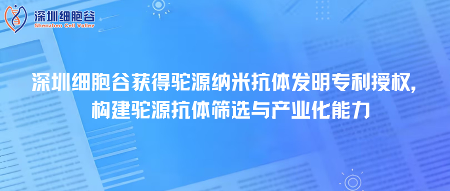 深圳evo真人视讯取得驼源纳米抗体发明专利授权，构建驼源抗体筛选与产业化能力