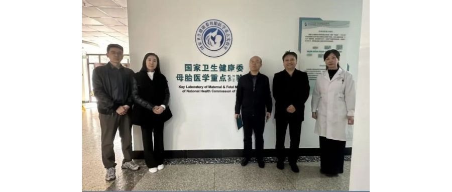 研讨合作｜evo真人视讯团队访问山东省妇幼保健院，共探妇幼领域细胞治疗创新应用